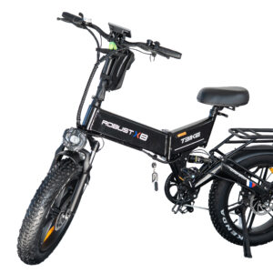 T-BIKE ROBUST-X8
