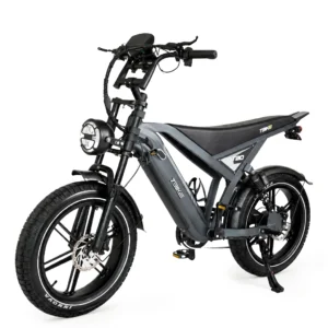GT20 - T-Bike