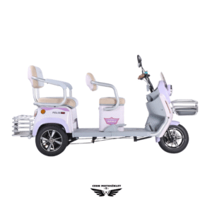 Arora Felix New Üç Tekerlekli Elektrikli Motosiklet