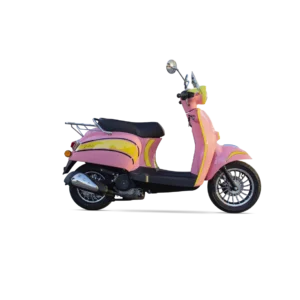 TURTLE 50